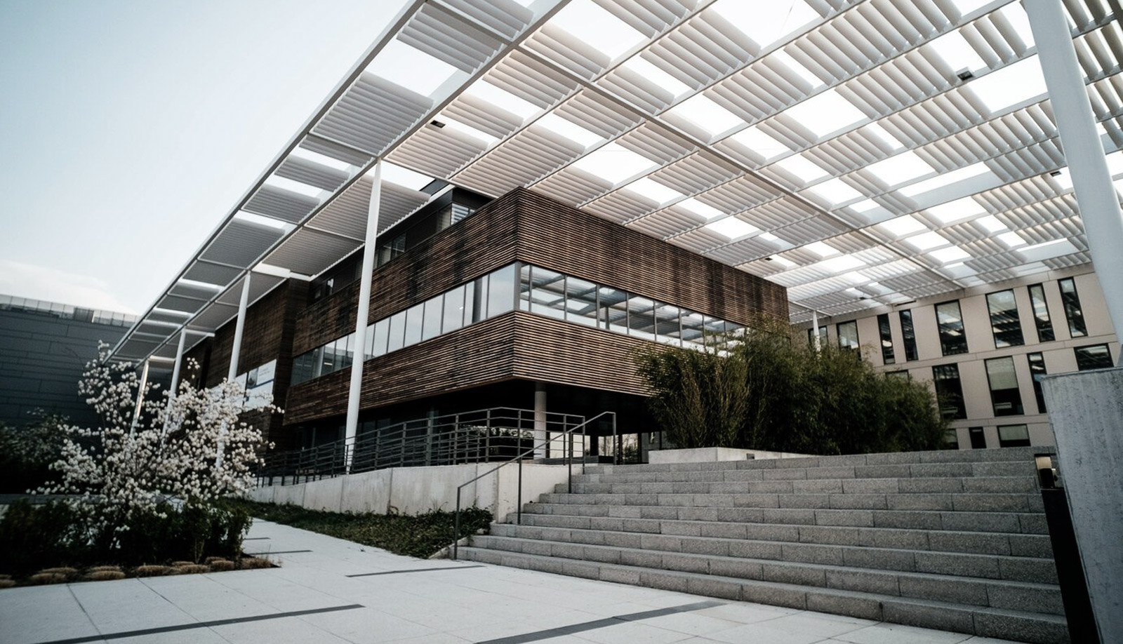 Commercial Construction